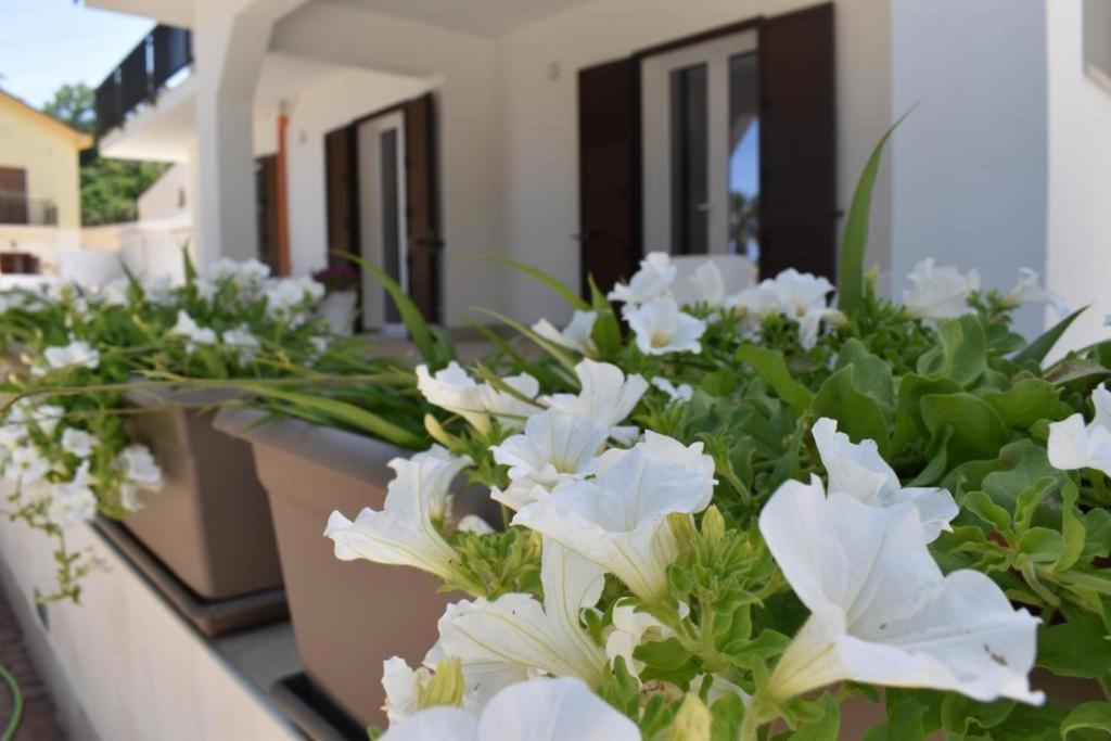 b&b Castellammare Home Castellammare del Golfo Exteriör bild